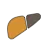 liver